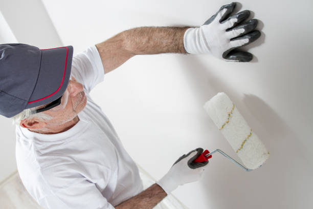  Necedah, WI Dry wall and painting Pros