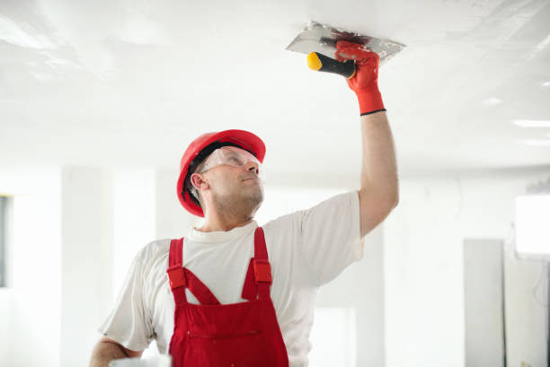 Best Ceiling Drywall Installation  in Necedah, WI