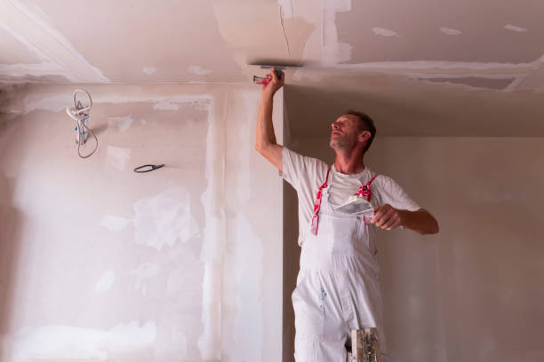 Best Drywall Crack Repair  in Necedah, WI