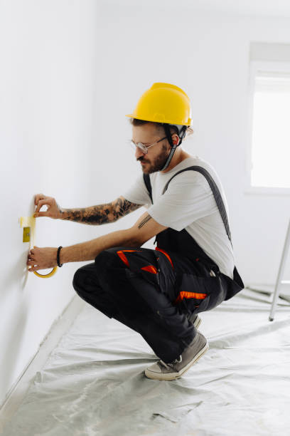 Best Drywall Removal and Disposal  in Necedah, WI